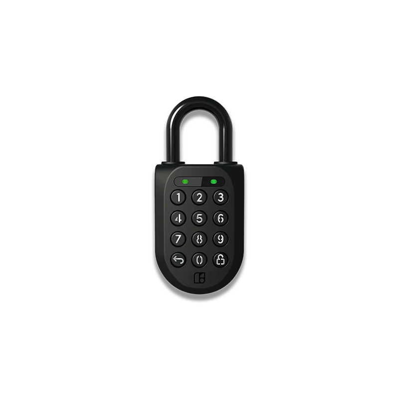 Padlock 2