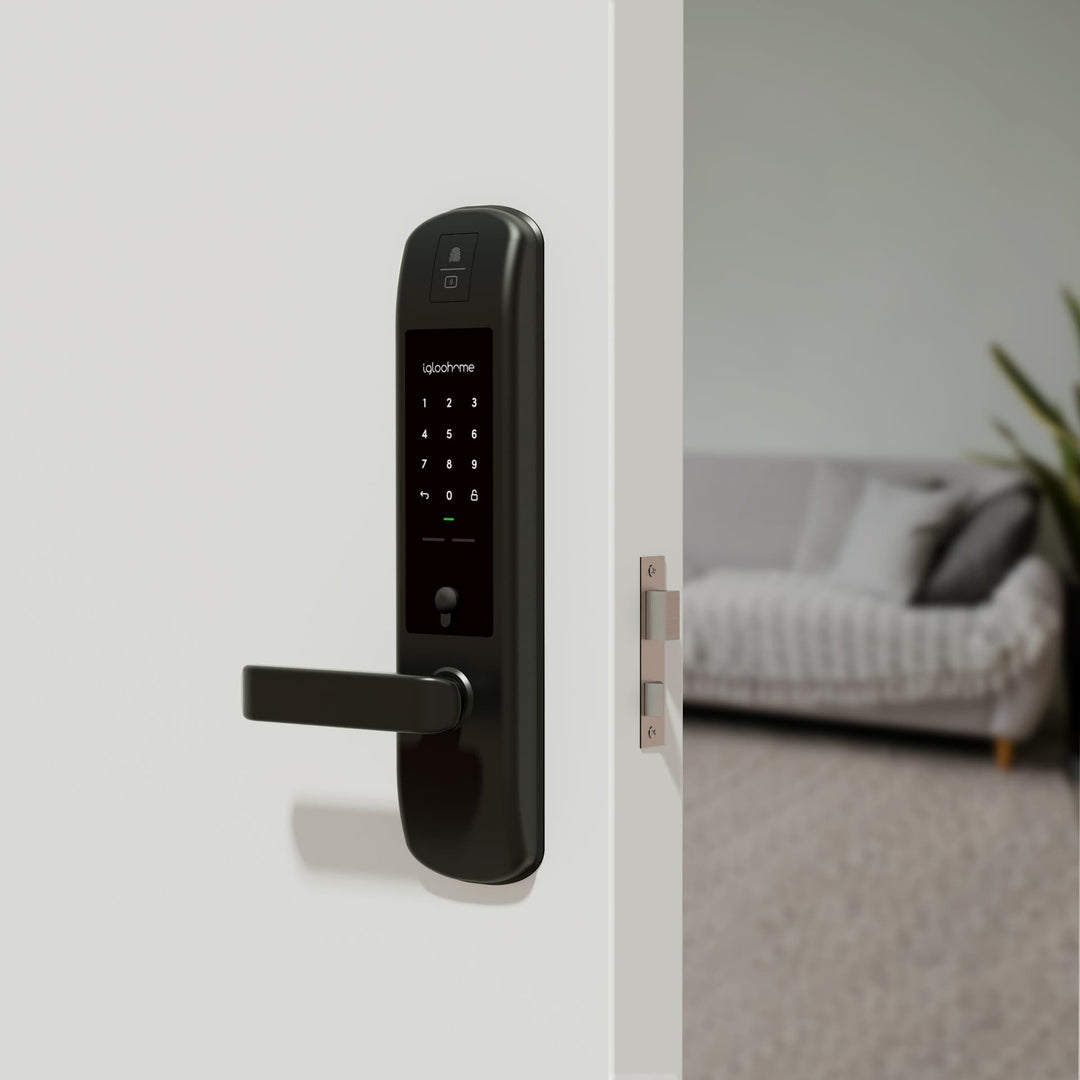 Mortise 2+